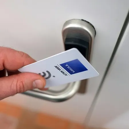 Pigal * تاراغونا